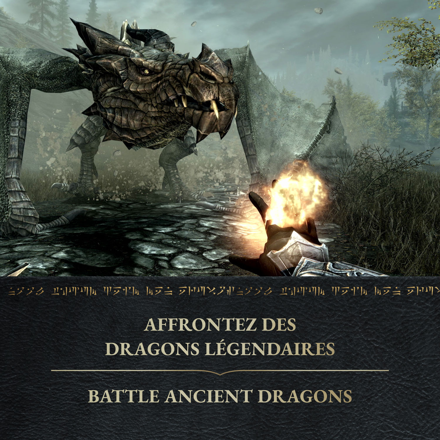 The Elder Scrolls V: Skyrim Anniversary Edition