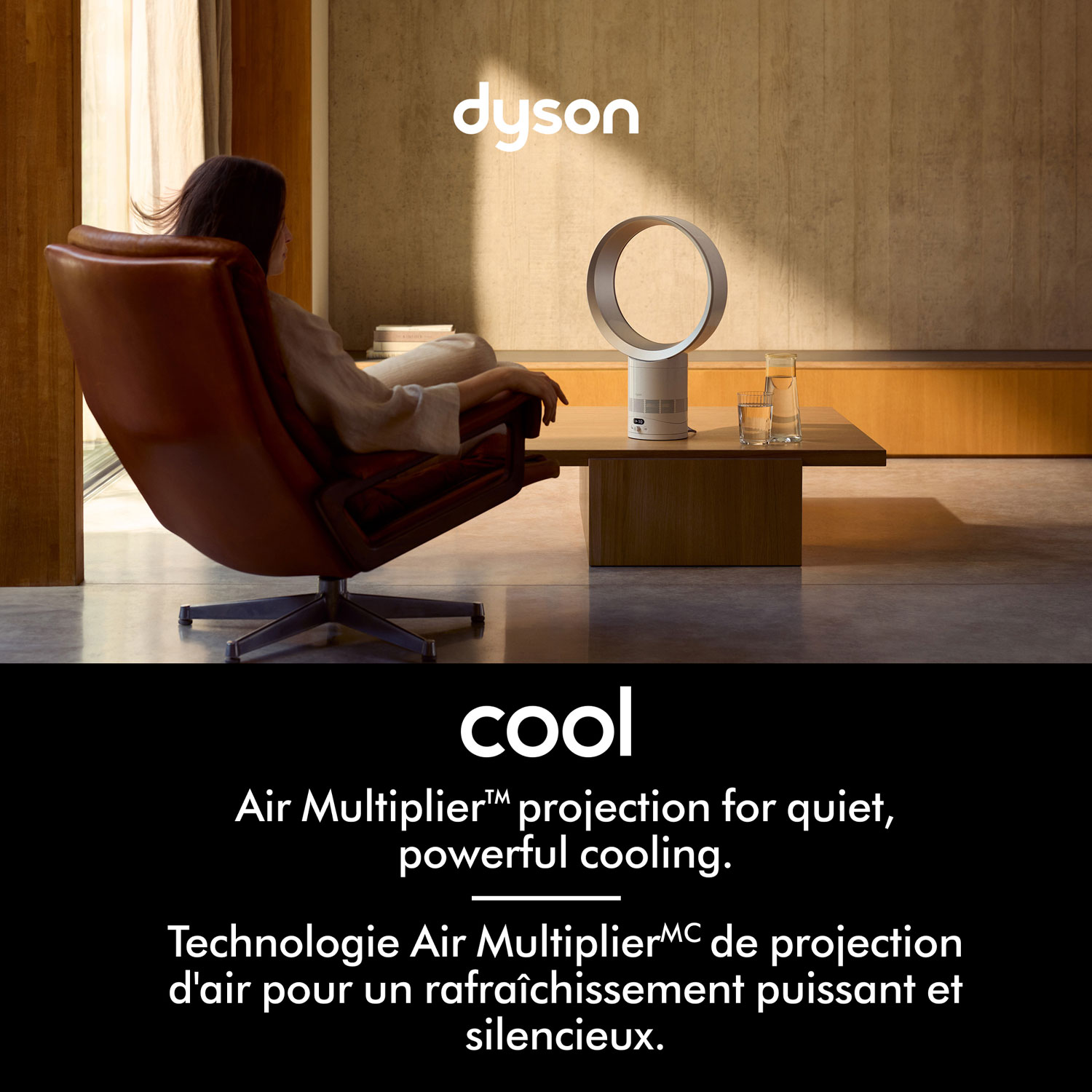 Dyson AM12 Table Fan - White/Silver