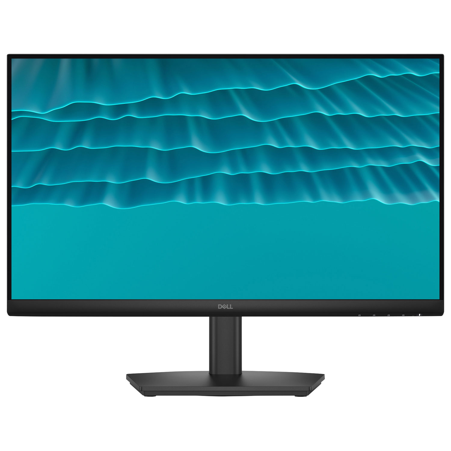 Dell 24