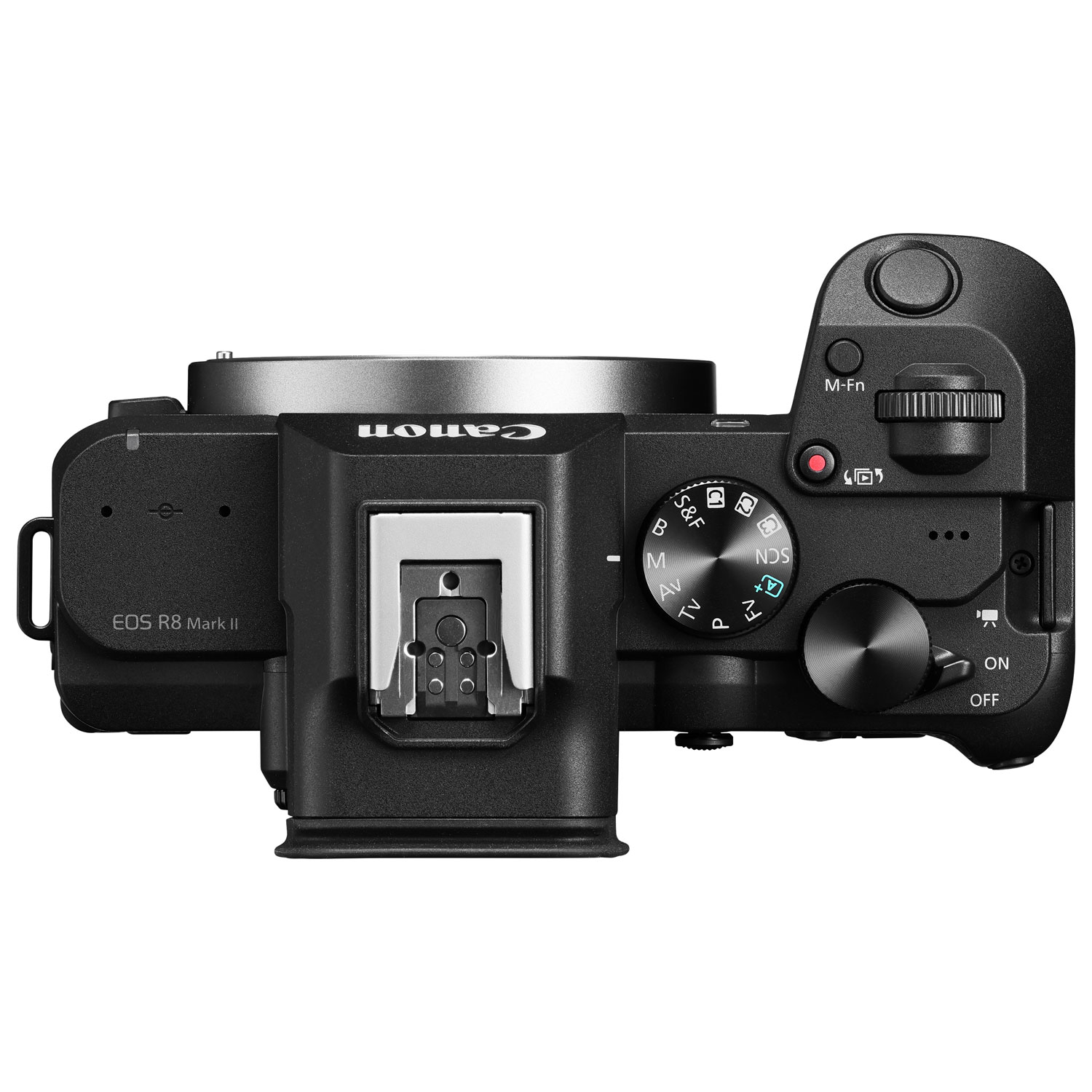 Canon EOS R8 Mark II Mirrorless Camera with RF 24-50mm IS STM Lens