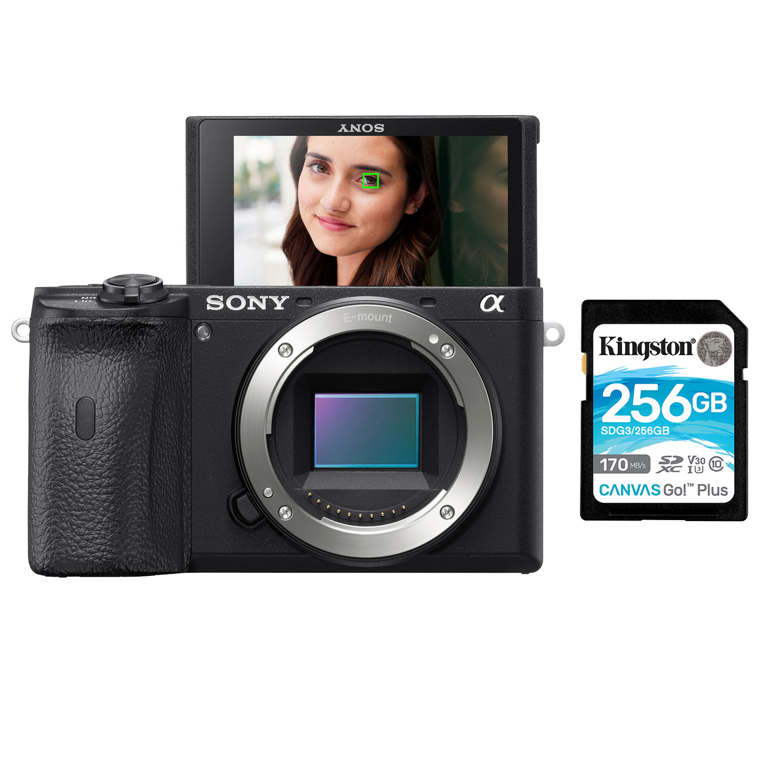 Sony Alpha a6600 Mirrorless Vlogger Camera (Body Only) w/ 256GB 170MB/s SDXC Memory Card