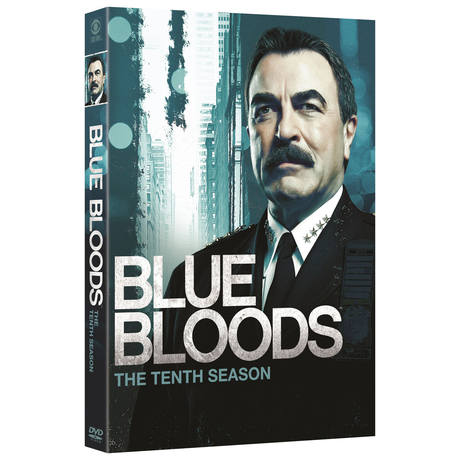 blue bloods novel series