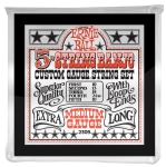 Ernie Ball P02309 Medium 5-String Loop End Stainless Steel Banjo Guitar Strings