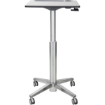 Ergotron LearnFit Adjustable Standing Desk (24-481-003)