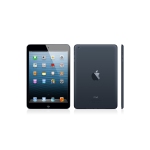 Apple iPad Mini 1st Gen A1432 16GB, Wi-Fi Only, Black - Certified Pre-Owned