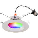 BAZZ Smart Home 6-in. Wi-Fi RGB LED Conversion Kit