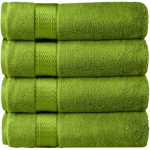 Couleur: Vert sauge
