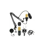 Condenser Microphone Bundle Kit Studio Audio Recording with Adjustable Arm Stand