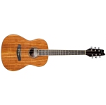 Denver Parlor Size Acoustic Guitar - Koa