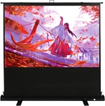 Kodak 100" Portable Projector Screen with Stand and Carry Case