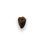 Grow Anything Seed Pod Kit (20pcs)