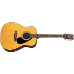 Yamaha F310P Folk Guitar Package