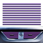 Couleur: Violet
