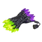 Colour: Purple/Lime Green