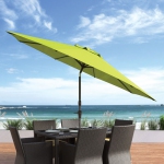 Couleur: Vert lime