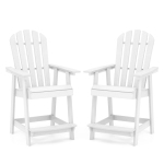 Couleur: Blanc
