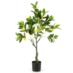 Colour: Green 1 PCS
