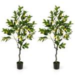 Colour: Green 2 PCS