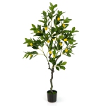 Colour: Green 1 PCS