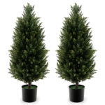 Colour: Green 2 Pack