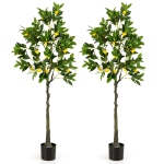 Colour: Green 2 PCS