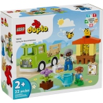 Lego Duplo Caring pour les abeilles & Oiseaux V39 - 10419