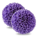 Colour: Purple