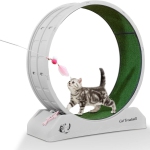 AxGear Cat Treadmill Runner Training Roue Pet Exercise Toy Indoor Teaser