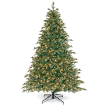 Colour: Green 7 FT