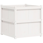 Couleur: Blanc