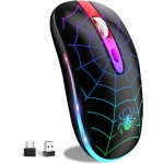 Couleur: Araignée noire
