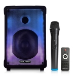 Dolphin Portable Bluetooth Party Speaker