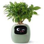 Couleur: Green