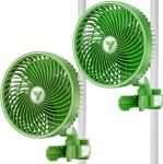 Couleur: Vert