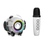 Panda Karaoke Bluetooth Speaker - Wireless Portable, HD Bluetooth Speaker, Compact Rechargeable Bass, Excellent Karaoke Performance, Built-in Wireless Microphone (White)