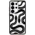 Colour: Kingsnake