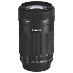 Canon EF-S 55-250mm f/4-5.6 IS STM Lens | Best Buy Canada