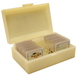 Walter Products Beginner Plastic Prepared Slide Set - 12 Piece