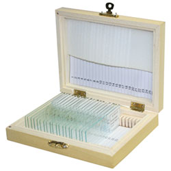 Walter Products Common Interest Prepared Slide Set - 20 Piece