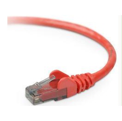 BELKIN Cat6 Cable