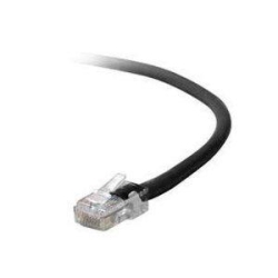 BELKIN Cat6 Cable