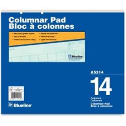 BLUELINE Columnar Pad