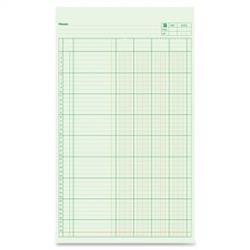 BLUELINE Columnar Pad