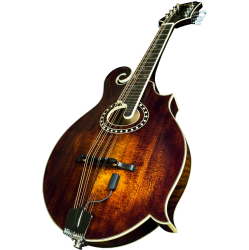 L.R BAGGS Radius Mandolin Pickup