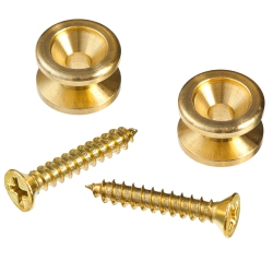 PLANET WAVES Pwep302 Solid Brass End Pins In Brass - Pair
