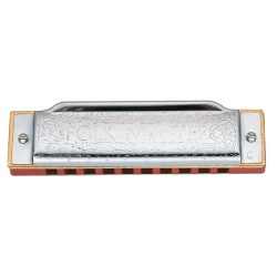 SUZUKI 1072 Folkmaster Standard 10 Hole Diatonic Harmonica - D