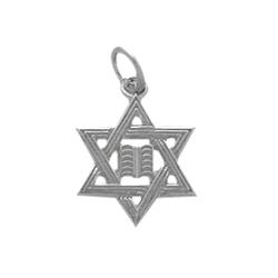 ELITE JEWELS Star Of David Pendant With 18" Chain In Silver