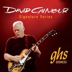 GHS STRINGS Strings Electric Ghs GB-Dgg Davidgilmour Signature Series 10