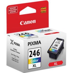 CANON Cl-246Xl Ink Cartridge - Color