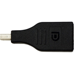 VISIONTEK CANADA Mini Dp Male to Female Dp 900835